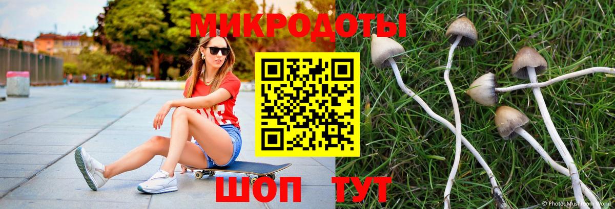 Псилоцибиновые грибы Cubensis  Вход с VPN  Шахты  Псилоцибиновые грибы MAGIC MUSHROOMS 